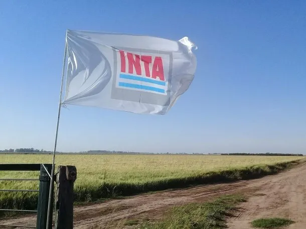 La Justicia frenó los despidos y el plan de ajuste del Gobierno en el INTA