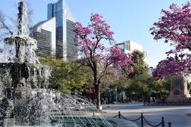Jueves frio, pero el sol calentará la Madre de Ciudades