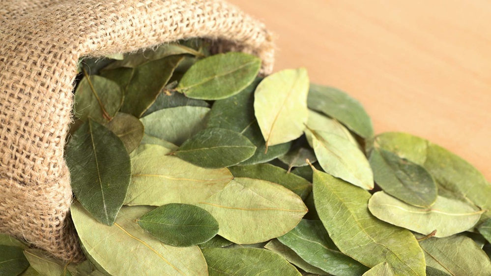 La crisis boliviana golpea al mercado de la hoja de coca y crece el temor por faltantes y subas 